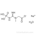 Sel disodique de créatine phosphate CAS 922-32-7